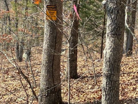 Photo of 15803 Sand Point Terrace, Mountainburg, AR 72946 (MLS # 11665934)