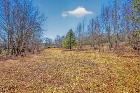 Photo of 25 Parker Schoolhouse Rd, Davenport, NY 13750 (MLS # 11694148)