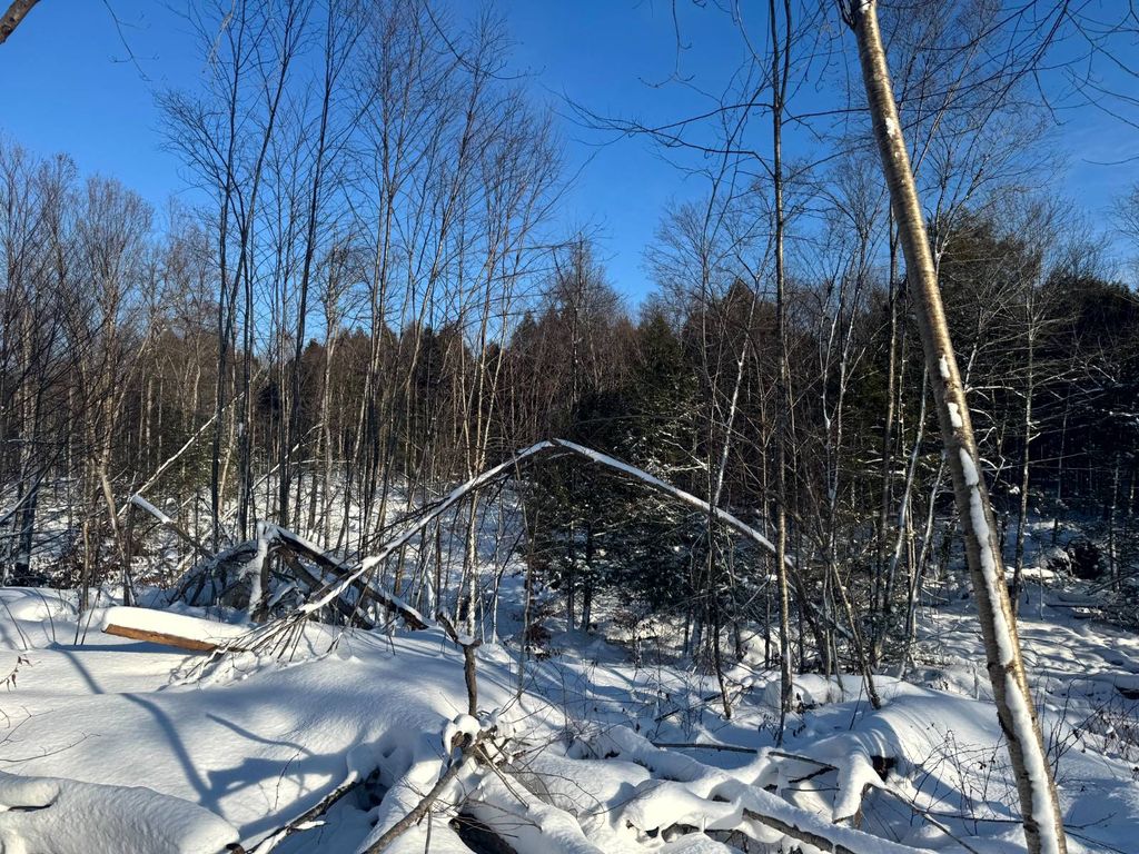 Photo of 11 Rowell Rd #1, Camden, NY, NY 13316 (MLS # 11623141)