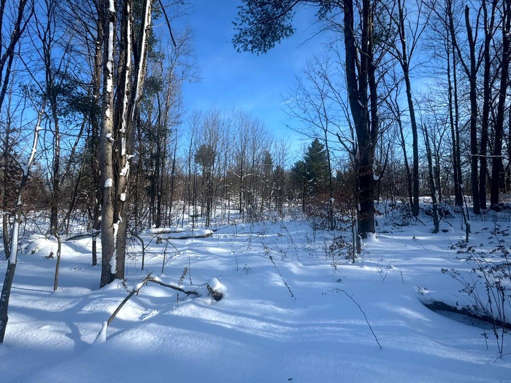 Photo of 11 Rowell Rd #1, Camden, NY, NY 13316 (MLS # 11623141)