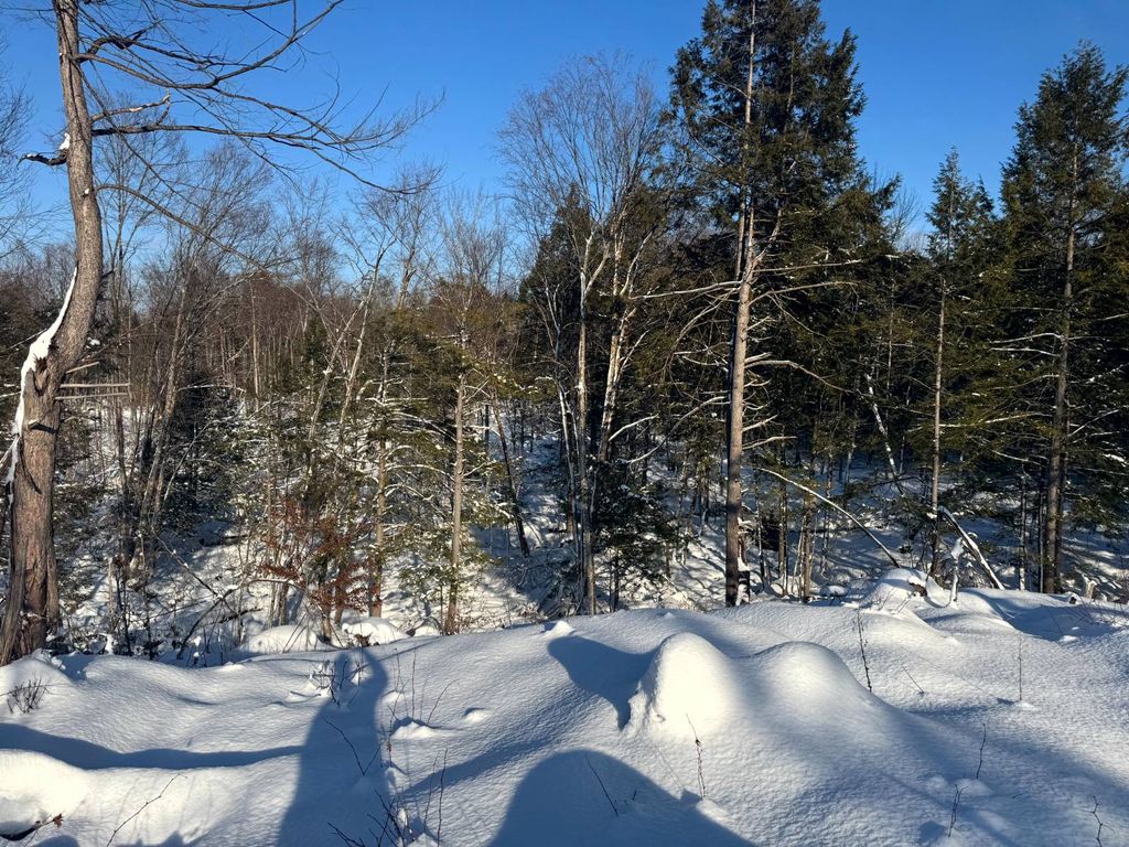 Photo of 11 Rowell Rd #1, Camden, NY, NY 13316 (MLS # 11623141)