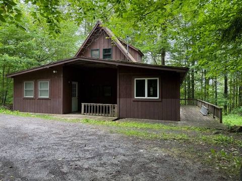 Photo of 184 Huff Road, Cooperstown, NY 13326 (MLS # 11523525)