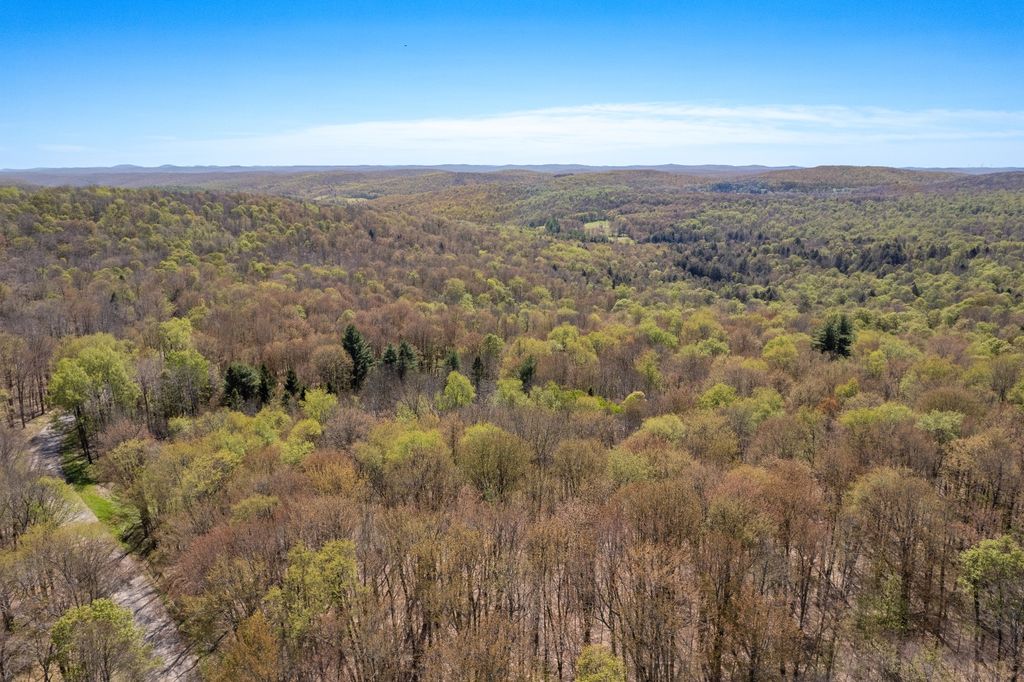 Photo of 0 Hathaway Pond Rd, Hancock, NY 13783 (MLS # 11745717)