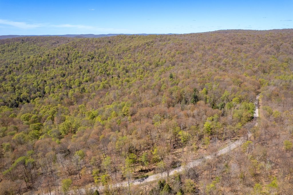 Photo of 0 Hathaway Pond Rd, Hancock, NY 13783 (MLS # 11745717)
