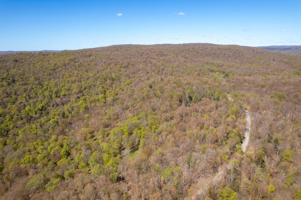 Photo of 0 Hathaway Pond Rd, Hancock, NY 13783 (MLS # 11745717)