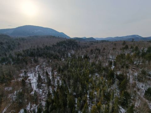 Photo of 0 Crane Mountain Road, Johnsburg, NY 12843 (MLS # 11686149)