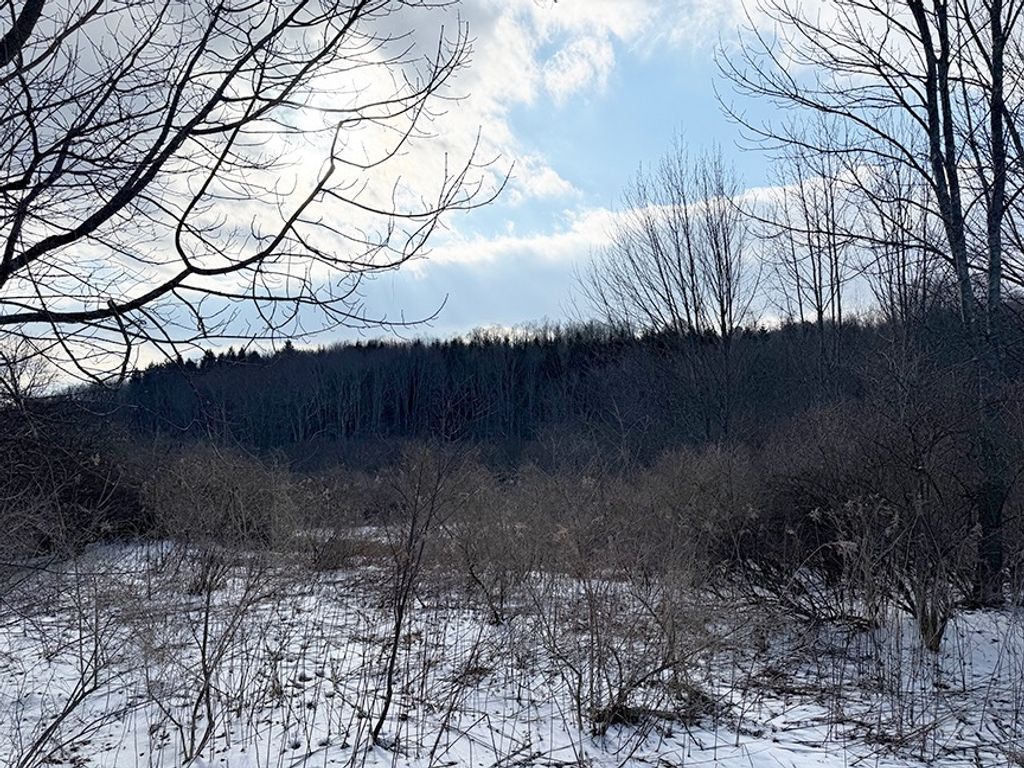 Photo of 806 Thayer Rd, Otsego, NY 13348 (MLS # 11678261)