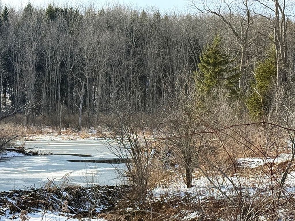 Photo of 806 Thayer Rd, Otsego, NY 13348 (MLS # 11678261)