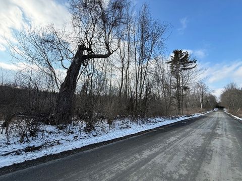 Photo of 806 Thayer Rd, Hartwick, NY 13348 (MLS # 11678261)