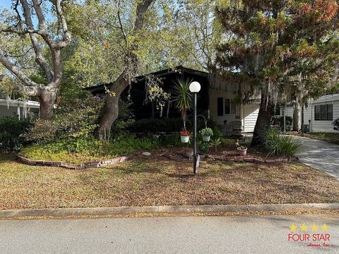 Photo of 64 Horseshoe Falls Dr, Ormond Beach, FL 32174 (MLS # 11686196)