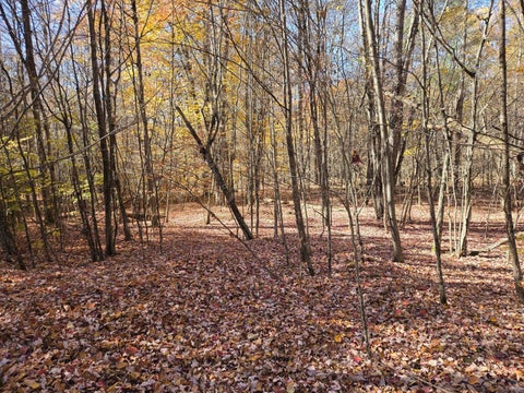 Photo of 142 Spring Hill Lane, Mount Upton, NY 13809 (MLS # 12042745)