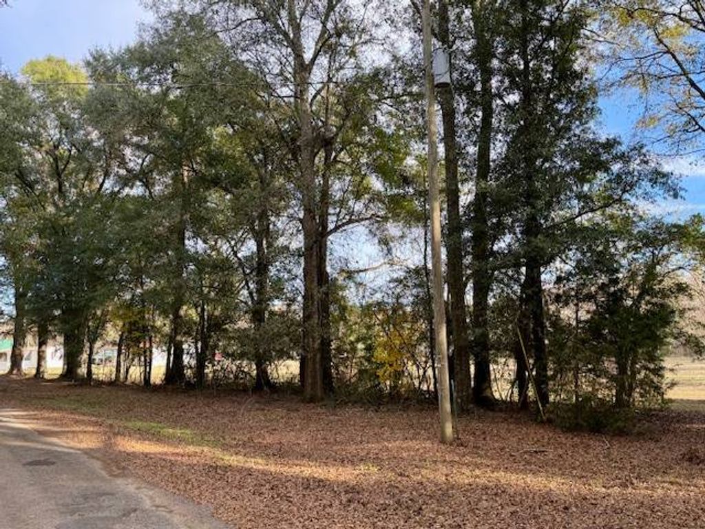 Photo of 336 Beach Road, Camden, AL 36726 (MLS # 11618335)