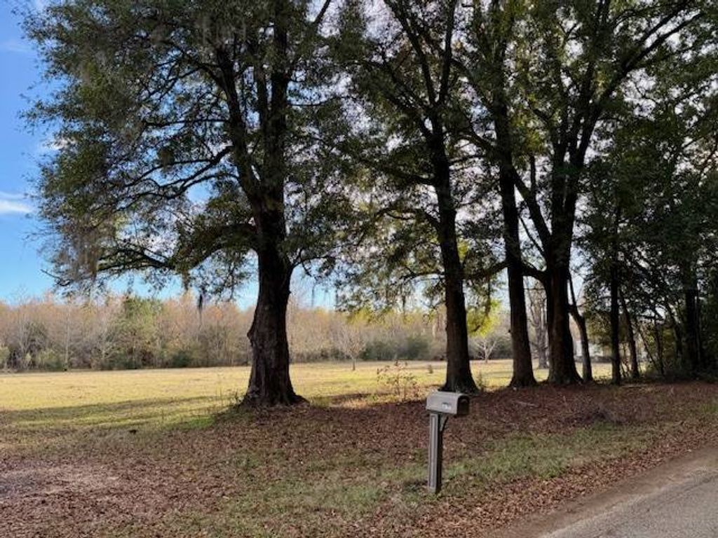 Photo of 336 Beach Road, Camden, AL 36726 (MLS # 11618335)