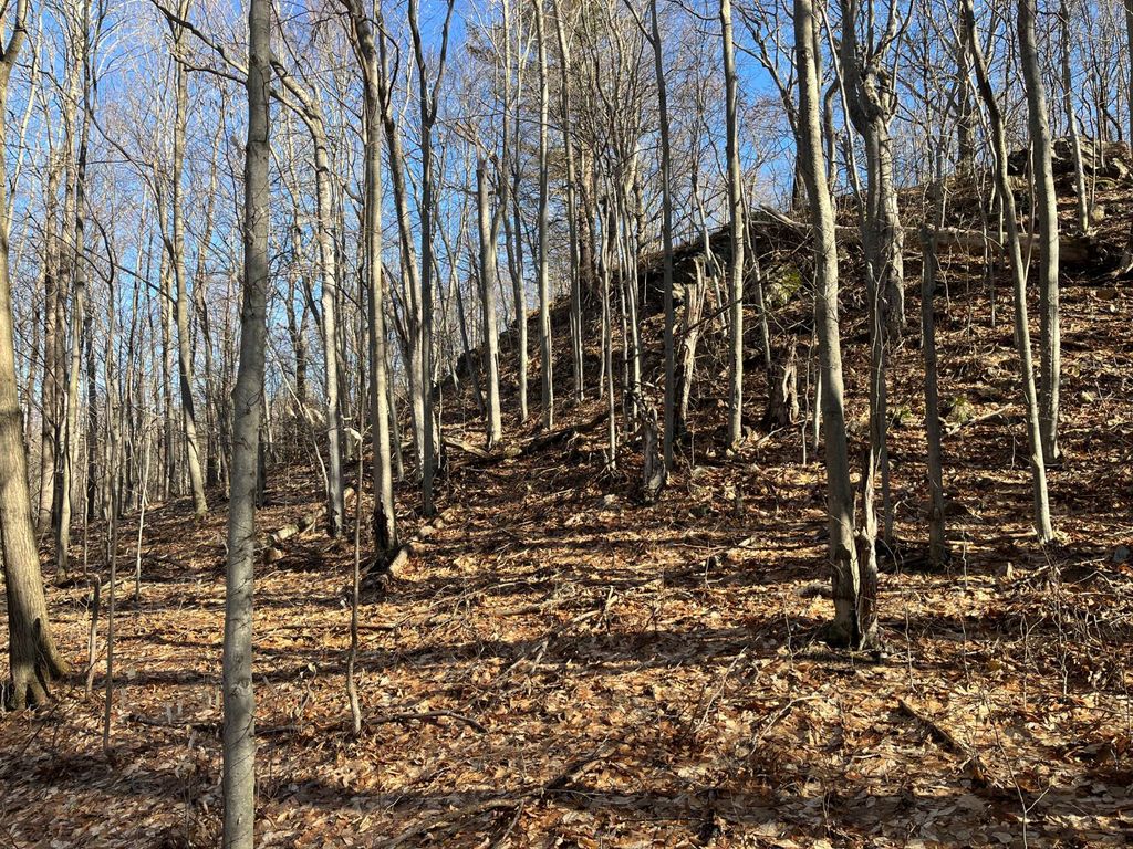 Photo of 00 Lafaver Rd #2, Russell, NY 13684 (MLS # 11684066)