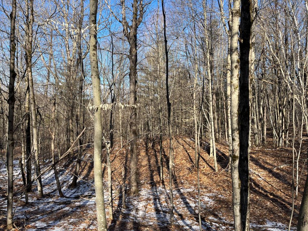 Photo of 00 Lafaver Rd #2, Russell, NY 13684 (MLS # 11684066)