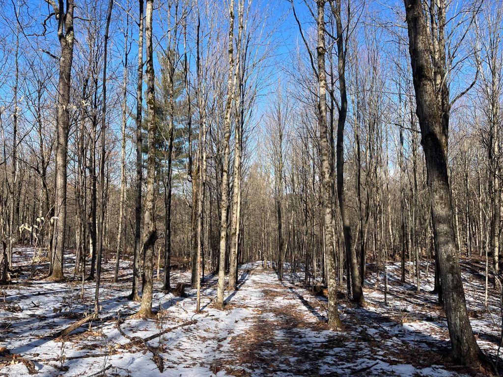 Photo of 00 Lafaver Rd #2, Russell, NY 13684 (MLS # 11684066)