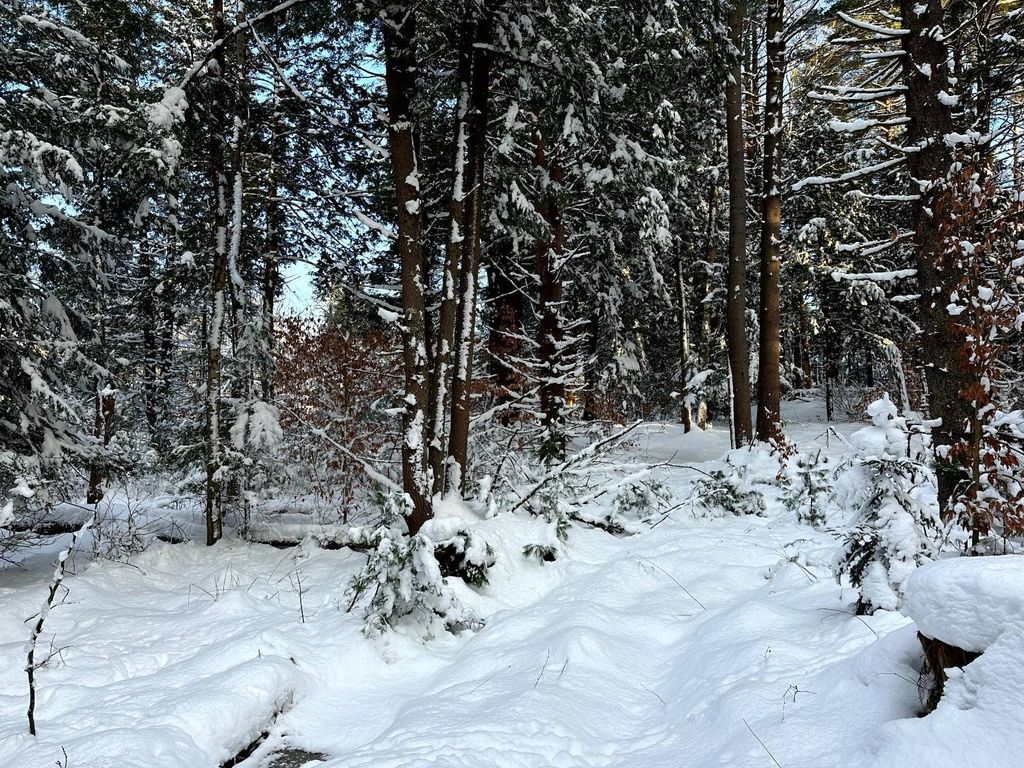 Photo of 110 Curtiss Rd #10, Camden, NY, NY 13316 (MLS # 11623190)