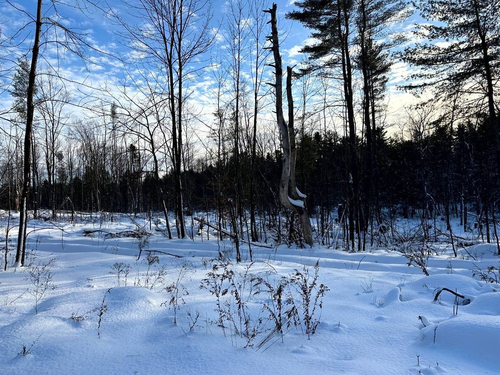 Photo of 110 Curtiss Rd #10, Camden, NY, NY 13316 (MLS # 11623190)