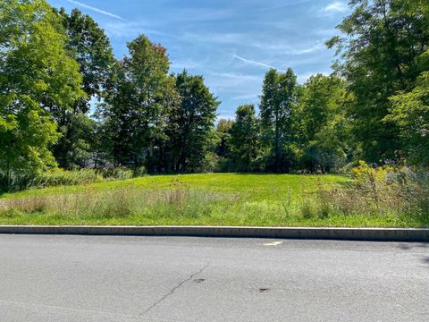 Photo of 53 Walnut St, Cooperstown, NY 13326 (MLS # 11340939)