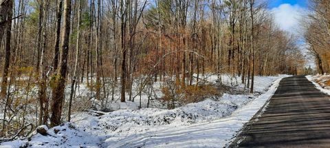 Photo of 500 Evening inn Rd, Milford, NY 13820 (MLS # 11123581)