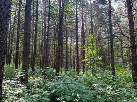 Photo of 13 Hoag-Childes Rd #3, Pharsalia, NY 13815 (MLS # 11195766)