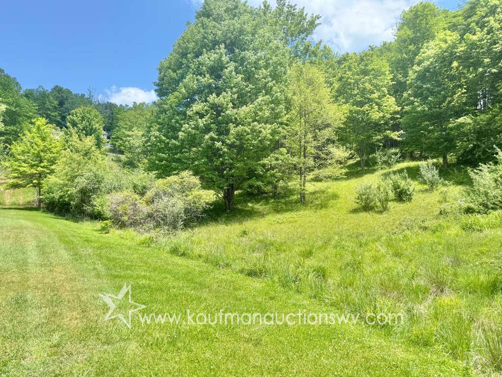 Photo of 79 Fawn Lane, Buckhannon, WV 26201 (MLS # 11931209)