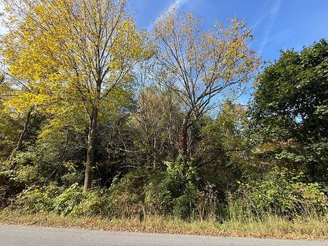 Photo of 2201 Beaver Meadow Rd, Cooperstown, NY 13326 (MLS # 11579856)