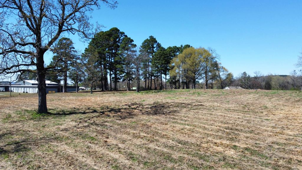 Photo of 508 N Roseville Street, Altus, AR 72821 (MLS # 11676493)
