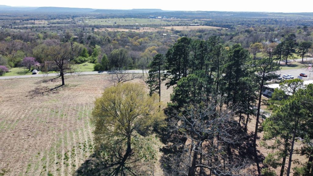 Photo of 508 N Roseville Street, Altus, AR 72821 (MLS # 11676493)