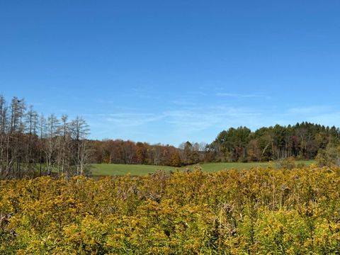 Photo of 12 County Road 29 #2, New Berlin, NY 13411 (MLS # 11587924)
