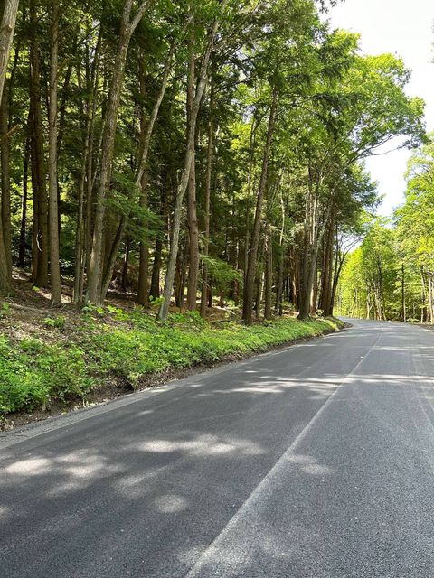 Photo of 0 County Highway 35, Maryland, NY 12116 (MLS # 11326759)