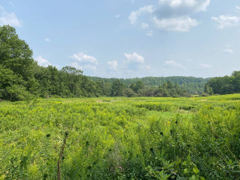 Photo of 0 Keys Rd #Lot 2, Cooperstown, NY 13326 (MLS # 11333326)