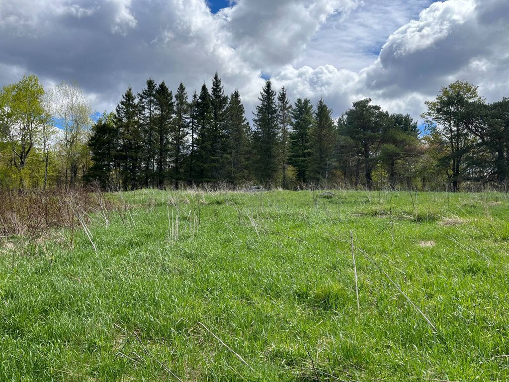 Photo of 00 Hatch Rd #1, Russell, NY 13652 (MLS # 11745778)