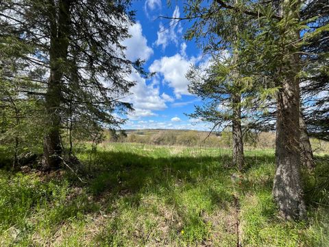Photo of 00 Hatch Rd #1, Russell, NY 13652 (MLS # 11745778)