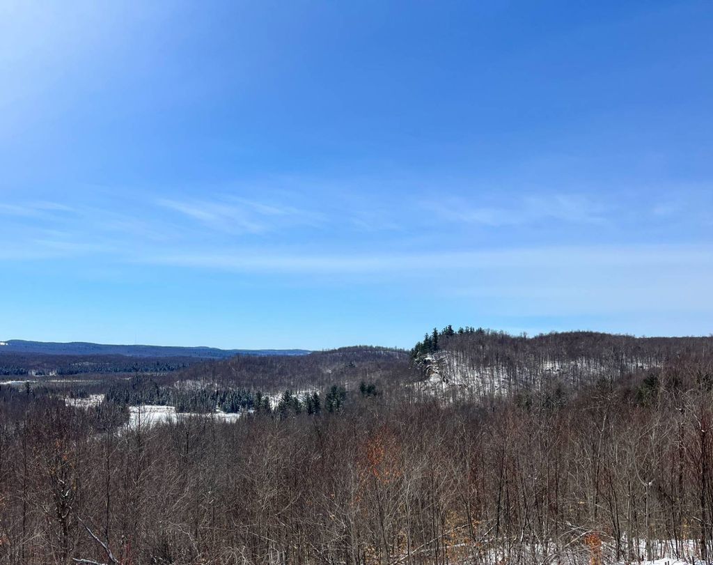 Photo of Private off of Pickettville Rd #5 &amp; 6, Parishville, NY 13676 (MLS # 11679704)