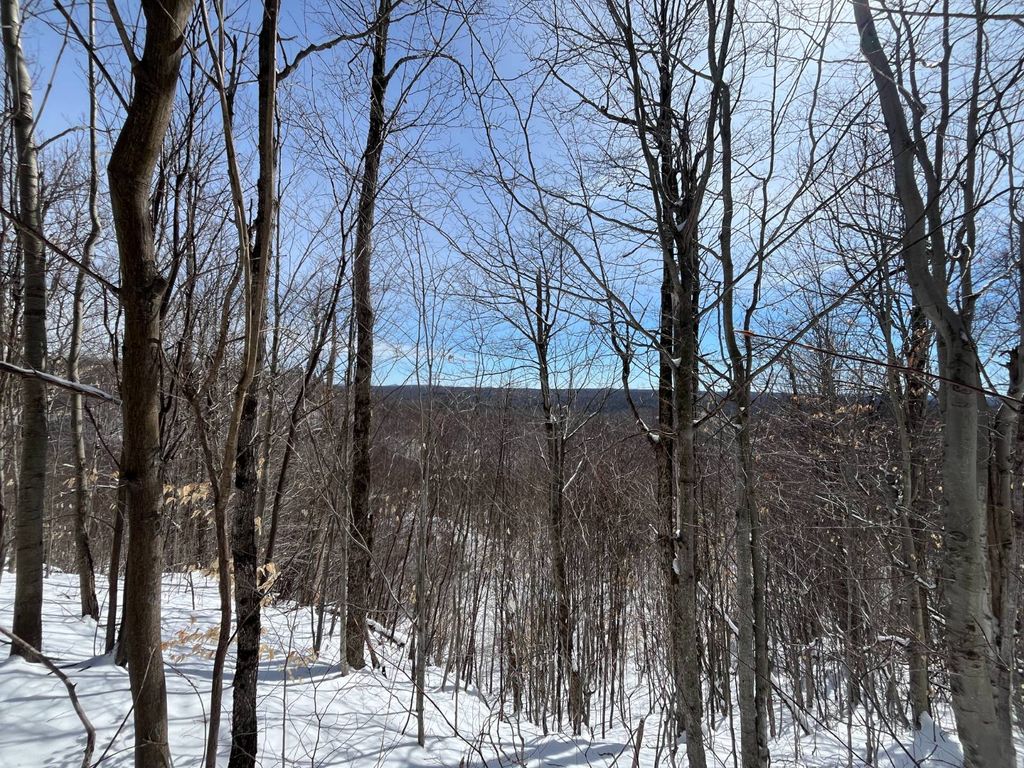 Photo of Private off of Pickettville Rd #5 &amp; 6, Parishville, NY 13676 (MLS # 11679704)