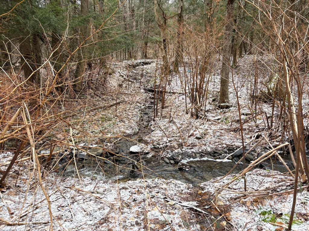 Photo of 154 Walker Rd, Nineveh, NY 13813 (MLS # 11675829)