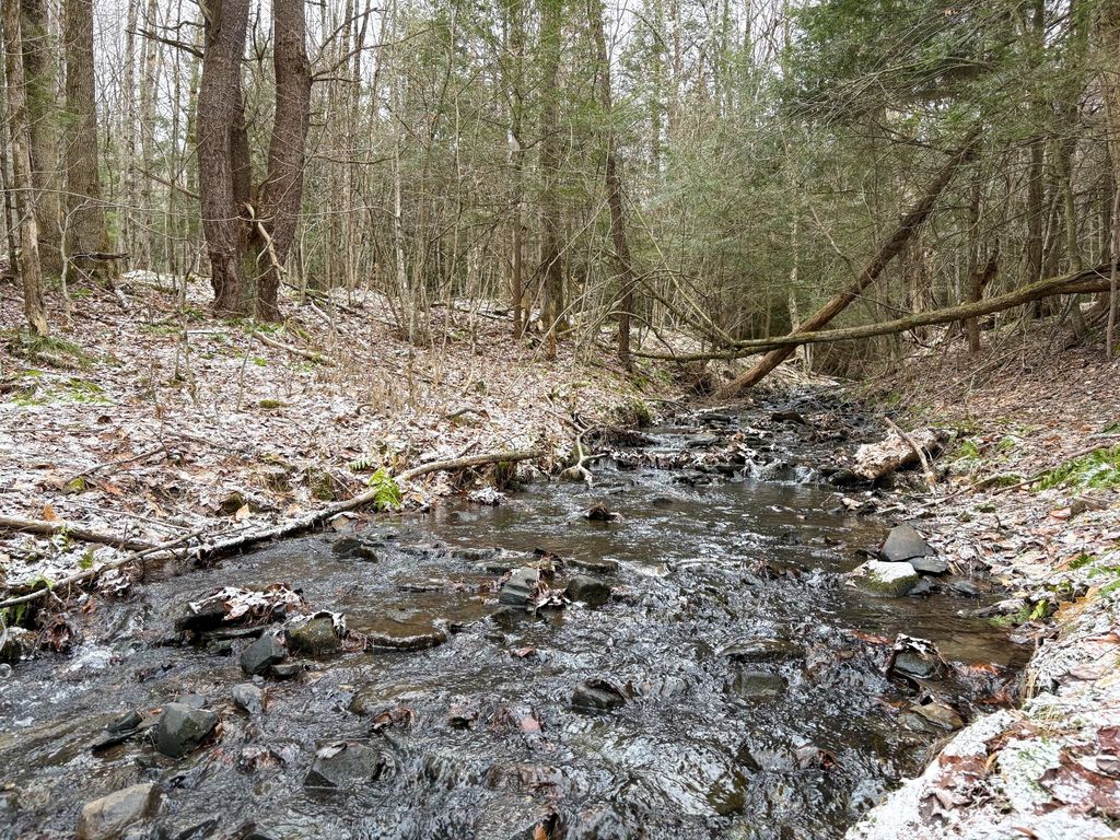 Photo of 154 Walker Rd, Nineveh, NY 13813 (MLS # 11675829)