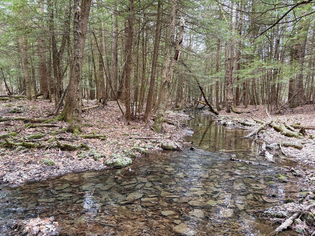 Photo of 154 Walker Rd, Nineveh, NY 13813 (MLS # 11675829)