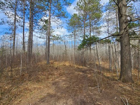 Photo of 1 Prarie Lake Rd #Lot 1, Nokomis, WI 54487 (MLS # 11738952)