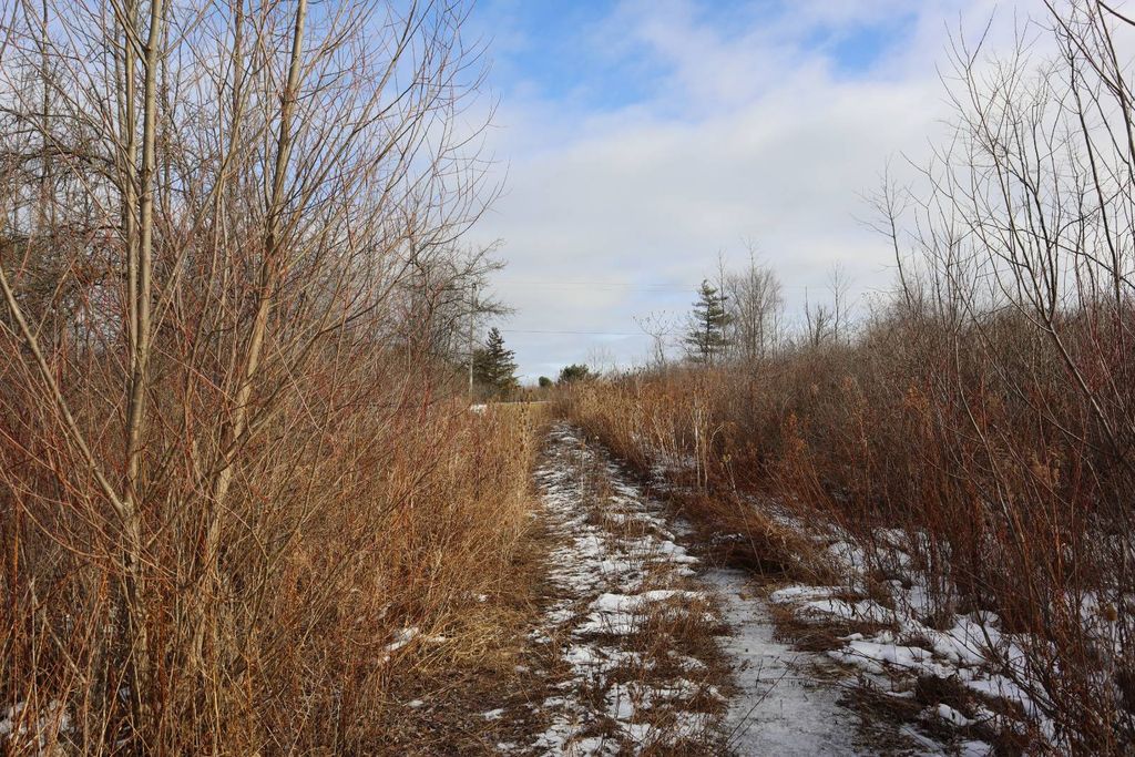 Photo of 0 Sthwy 162, Sprakers, NY 12166 (MLS # 11622172)