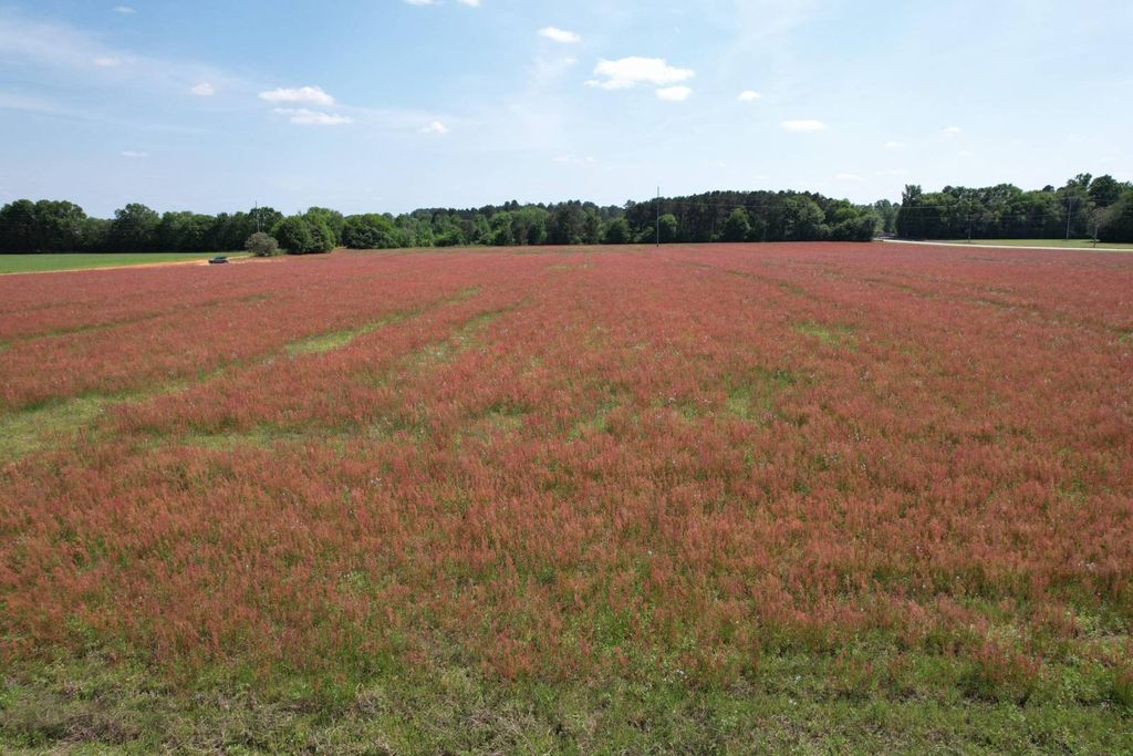 Photo of 2 Rogers Lane, Bennettsville, SC 29512 (MLS # 11621824)