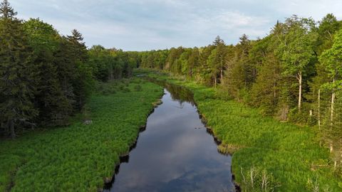 Photo of 00 Farr Rd, Forestport, NY 13338 (MLS # 11687920)