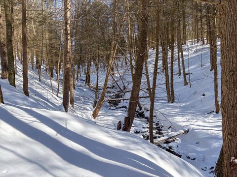 Photo of 0 Huntley Hollow Rd, Downsville, NY 13752 (MLS # 11672373)