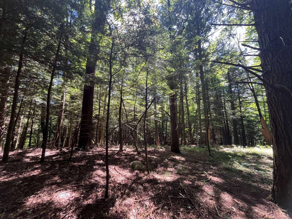 Photo of 00 Minor Street Rd #5, Canton, NY 13617 (MLS # 11850472)