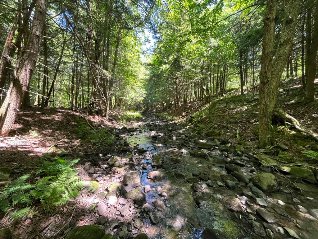 Photo of 00 Minor Street Rd #5, Canton, NY 13617 (MLS # 11850472)