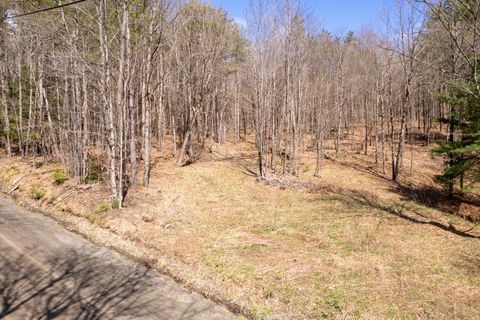 Photo of 24 Walker Rd, Nineveh, NY 13813 (MLS # 11732420)