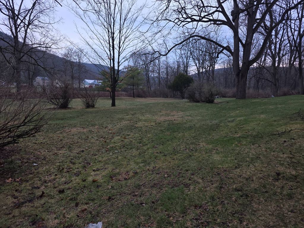 Photo of 33 Brookline Ave, Elmira, NY 14905 (MLS # 11681938)