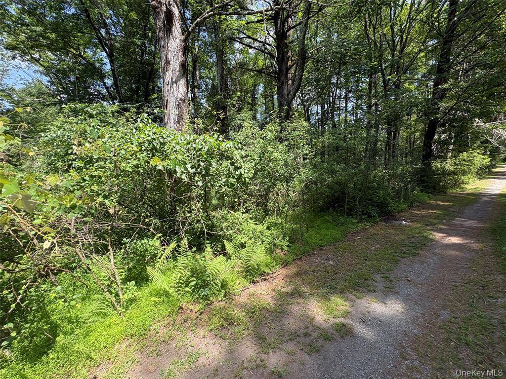 Photo of 0 Belair Rd, Glen Spey, NY 12737 (MLS # 11927213)