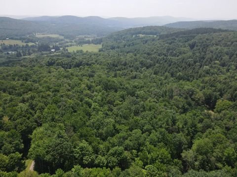 Photo of 0 Van Yahres Road, Cooperstown, NY 13326 (MLS # 11536404)